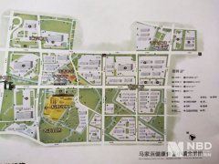 Beyond Meat独家回应嘉兴建厂：将供给三种动物肉将