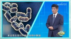  冰箱里的肉冻多久